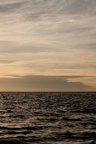 Combattre l’épidémie de plante zombie au Québec, un lavage de SUP à la fois
