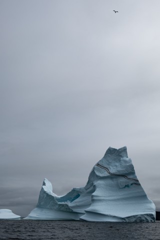 Iceberg